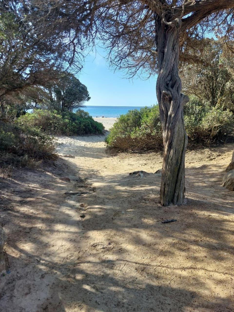 Villa Margherita Chia Εξωτερικό φωτογραφία
