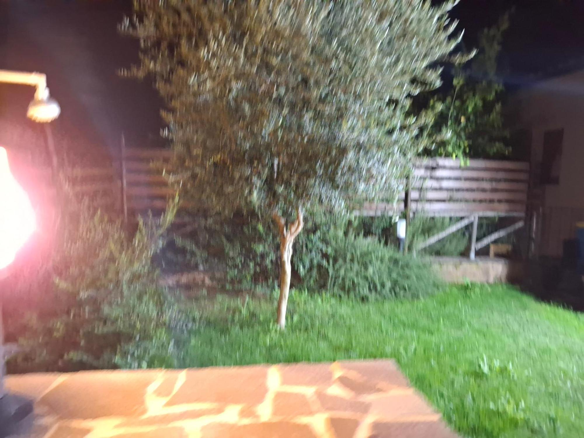 Villa Margherita Chia Εξωτερικό φωτογραφία